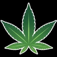 ผลิตภัณฑ์จากกัญชง & กัญชา & กระท่อม